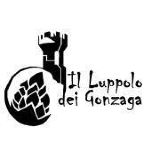 Festa della birra Volta Mantovana